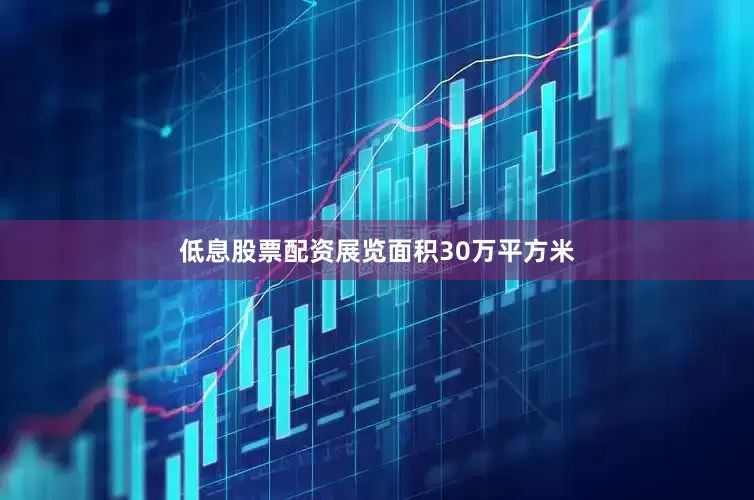 低息股票配资展览面积30万平方米