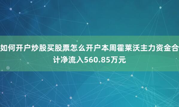 如何开户炒股买股票怎么开户本周霍莱沃主力资金合计净流入560.85万元