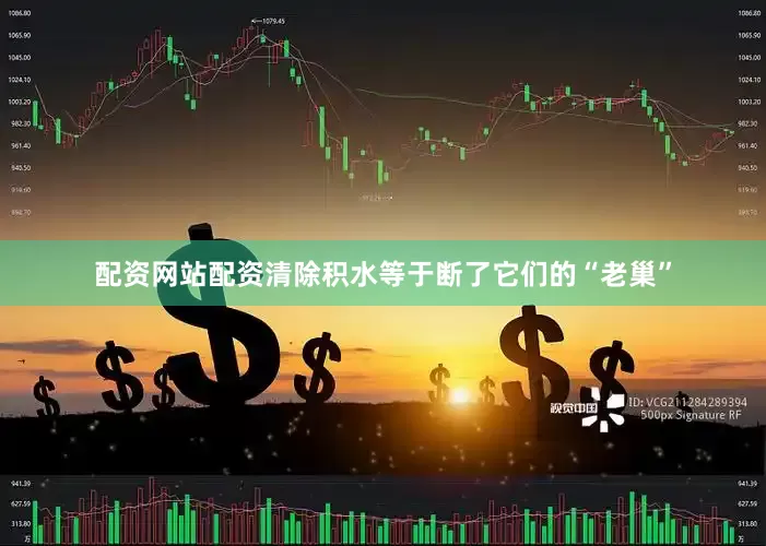配资网站配资清除积水等于断了它们的“老巢”